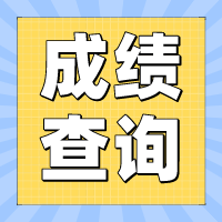 2022年四川攀枝花初级会计成绩什么时候可以查询？