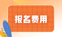 辽宁省2022年初级会计师报名费是多少？