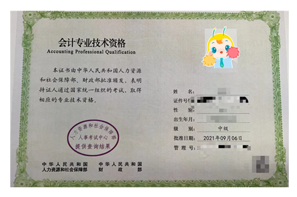 报考cpa条件_报考条件CPA_报考条件怎么填