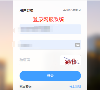 税务师网报系统1