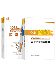 必刷金题+知识导图-审计专业相关知识+审计理论与实务2