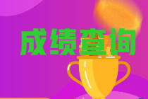 2022年河北省初级会计考试成绩查询时间大家都了解不？