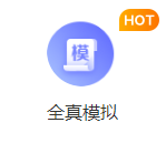全真模拟