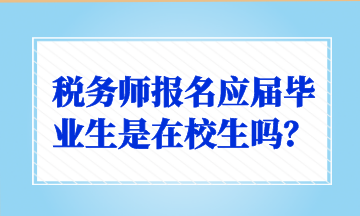 税务师报名应届毕业生是在校生吗？