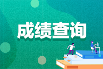 中级会计师可以查分吗？