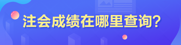 注会成绩在哪里查询？