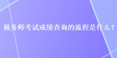 税务师考试成绩查询的流程是什么？