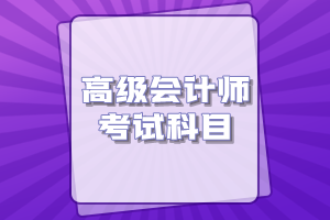 高级会计师考试科目