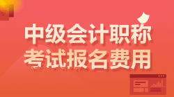 广东2023年中级会计报考费用大概多少钱？
