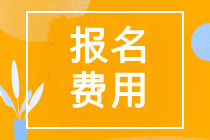 2023年cpa考试报名费用是多少？