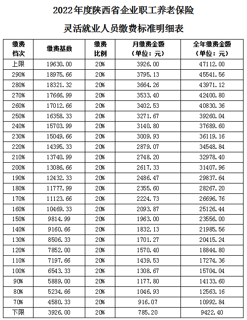 陕西省灵活就业缴费表