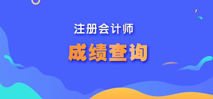 河北省CPA考试成绩能查询了吗？