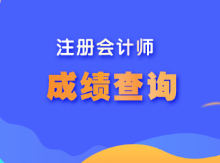 成绩查询