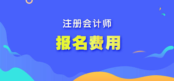 北京市2023年注会考试报名费用是多少？