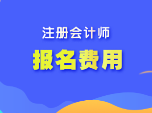 上海市2023年注会考试报名费用是多少？