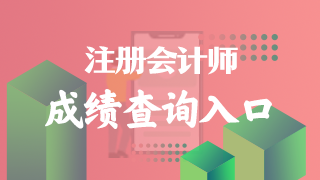 查询2022注会成绩入口是什么？