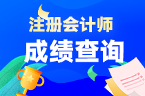 山东省注册会计师考试成绩什么时候出？