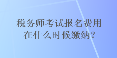 税务师考试报名费用在什么时候缴纳？