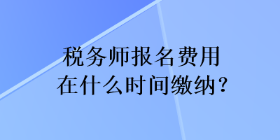 税务师报名费用在什么时间缴纳？