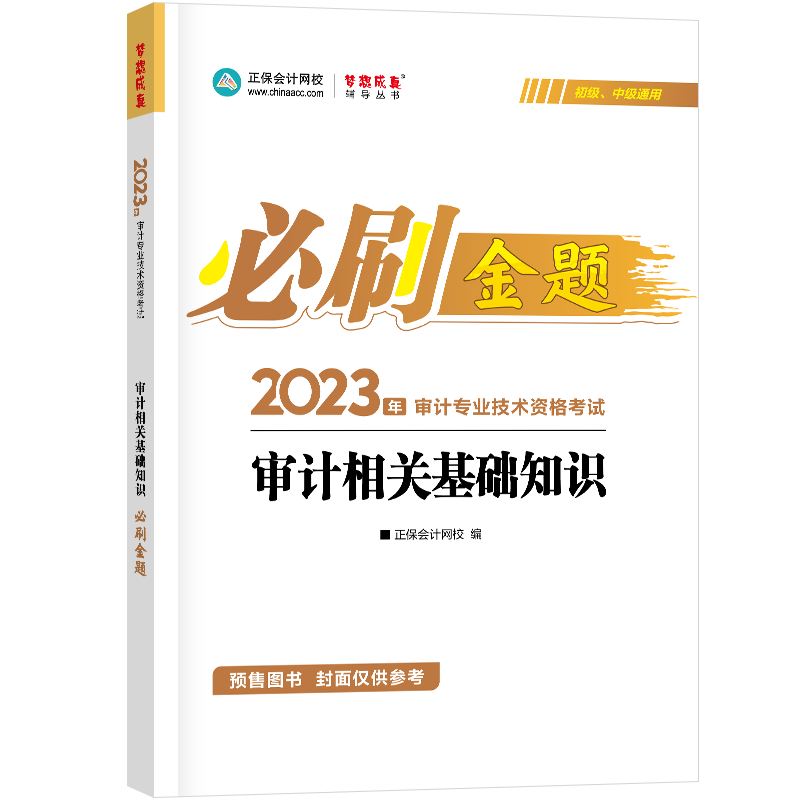 2023审计相关基础知识必刷金题