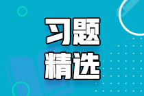 2023中级审计师《审计理论与实务》练习题精选（九）