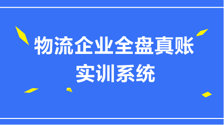 物流企业全盘真账实训系统