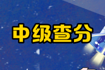 中级会计延考查分