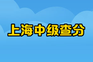 上海中级成绩