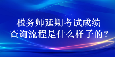 税务师延期考试成绩查询流程是什么样子的？
