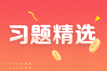 2023初级审计师《审计理论与实务》练习题精选（二十二）