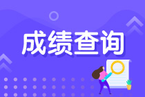 中级经济师考试成绩怎么查？