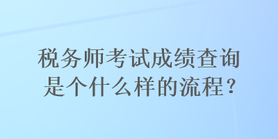 税务师考试成绩查询是个什么样的流程？