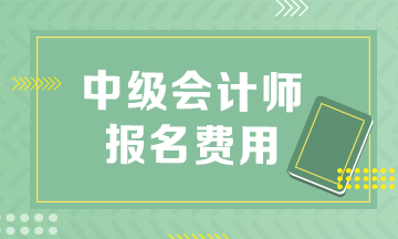 浙江2023年中级会计考试报名费是多少钱？
