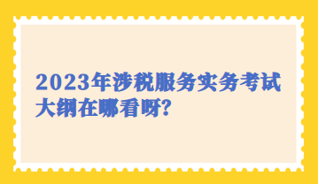 2023年涉税服务实务考试大纲在哪看呀？