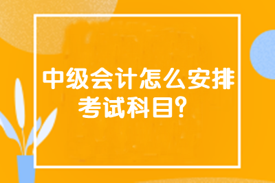 中级会计怎么安排考试科目？