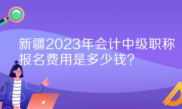 新疆2023年会计中级职称报名费用是多少钱？