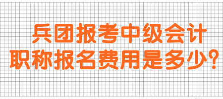 兵团报考中级会计职称报名费用是多少？