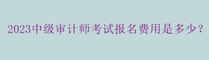 2023中级审计师考试报名费用是多少？