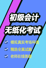 初级会计职称无纸化题库系统