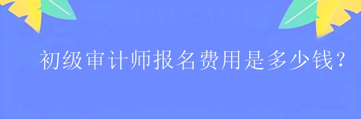 初级审计师报名费用是多少钱？