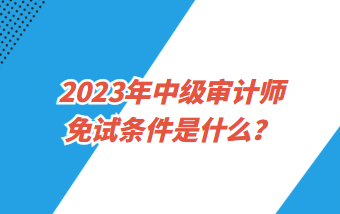 2023年中级审计师免试条件是什么？