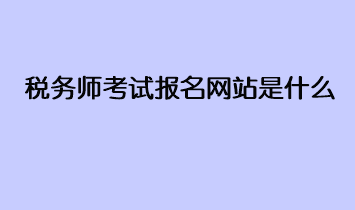 税务师考试报名网站是什么