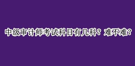 中级审计师考试科目有几科？难不难？