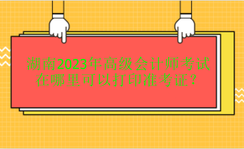 湖南2023年高会考试在哪里打印准考证？