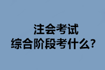 注会考试综合阶段考什么？