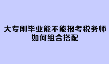 大专刚毕业能不能报考税务师呢？如何组合搭配？