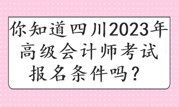 你知道四川2023年高级会计师考试报名条件吗？