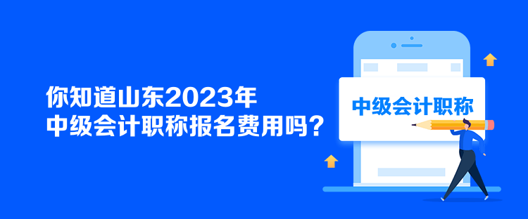 你知道山东2023年中级会计职称报名费用吗？