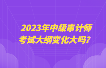 2023年中级审计师考试大纲变化大吗？
