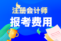 广东省注会考试报名费是多少？